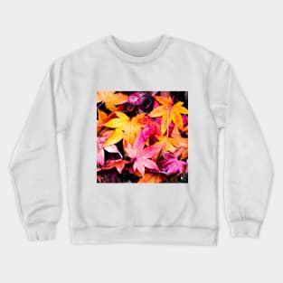 Photography - Petrichor Crewneck Sweatshirt